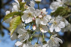 Colston Hall Cottages