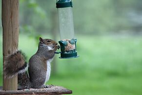 Colston Hall Cottages