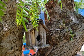 Agriturismo Calamate