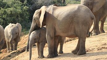 Elephants Footprint Lodge