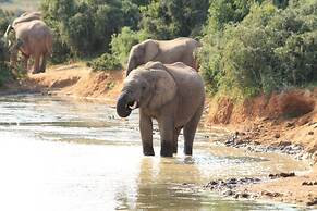 Elephants Footprint Lodge