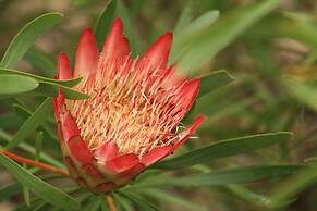 Elephants Footprint Lodge