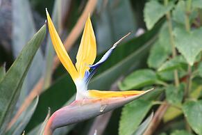 Elephants Footprint Lodge