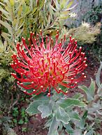 Elephants Footprint Lodge