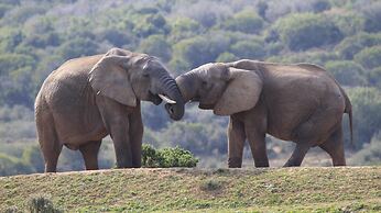 Elephants Footprint Lodge