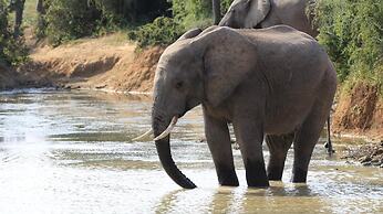 Elephants Footprint Lodge