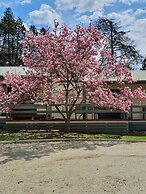 Golden Heritage Apartments Beechworth