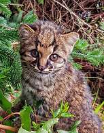 Hotel Natura Patagonia