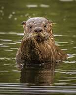 Hotel Natura Patagonia