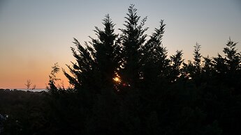 Villa Tresino Appartamenti B&B