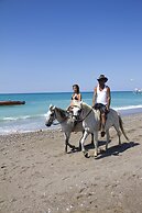 Selectum Family Comfort Side