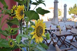 Helianthus Guesthouse