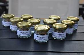 Helianthus Guesthouse