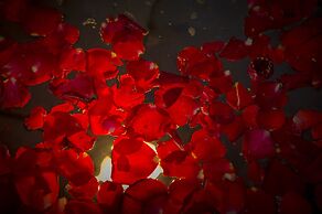 Riad La Rose du Désert