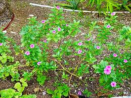 Eco Hotel Green River