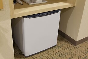 Community & Spa Naha Central Hotel