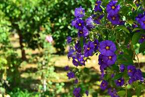 Bed & Breakfast S. Elia