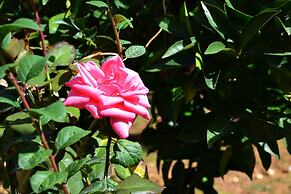 Bed & Breakfast S. Elia