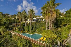 Casa do Papagaio Verde