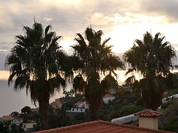 Casa do Papagaio Verde