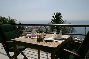 Casa do Papagaio Verde