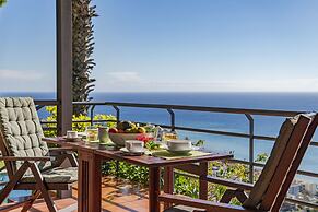 Casa do Papagaio Verde