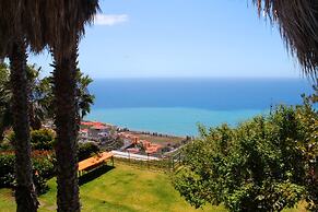 Casa do Papagaio Verde