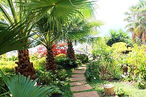 Casa do Papagaio Verde