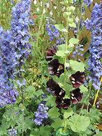 Gîte La P'tite Falaise