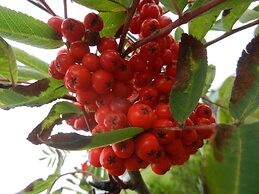 Gîte La P'tite Falaise