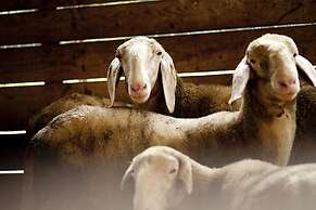 B&B Al Sole di Cavessago