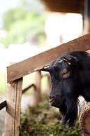 B&B Al Sole di Cavessago