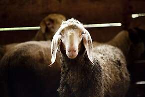 B&B Al Sole di Cavessago