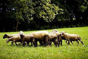 B&B Al Sole di Cavessago