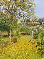 Frangipani Hotel