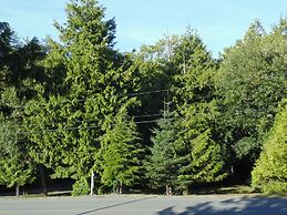 Ocean Mist Guesthouse