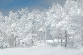 Hotel Harvest Skijam Katsuyama