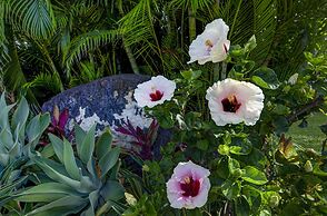 Hideaway Cove Poipu Beach