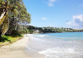 Island inn Apartments