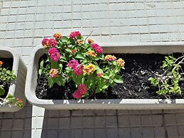 Butterfly Accommodation