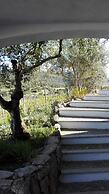 Agriturismo B&B Domo De Resteblas