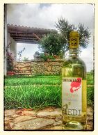 Agriturismo B&B Domo De Resteblas
