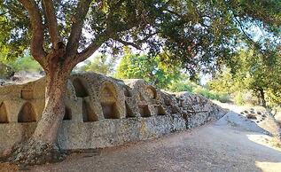 Agriturismo B&B Domo De Resteblas