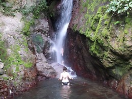 RafJam Bed & Breakfast