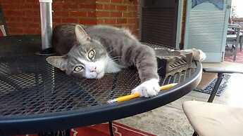 Clifford House Private Home Bed & Breakfast