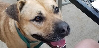 Clifford House Private Home Bed & Breakfast