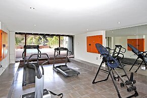 Dynasty Forest Sandown Accommodation