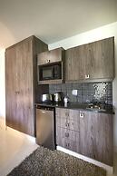 Dynasty Forest Sandown Accommodation