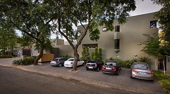 Dynasty Forest Sandown Accommodation