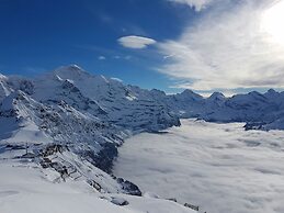 Alpenkräuter Hotel Bären